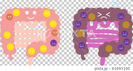 腸内フローラのイラスト 腸内フローラのイラスト 61693100