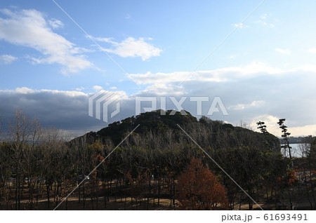 履中天皇陵古墳 61693491