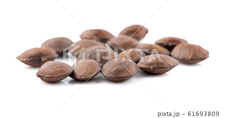 Nuts Incas , sacha inchi peanut seed an isolated 61693809