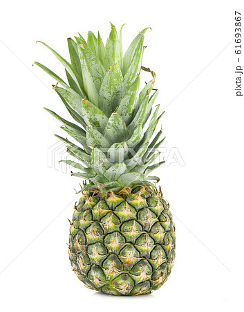 single whole pineapple an isolated on white single whole pineapple an isolated on white 61693867