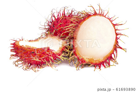 rambutan fruit an isolated on white background 61693890