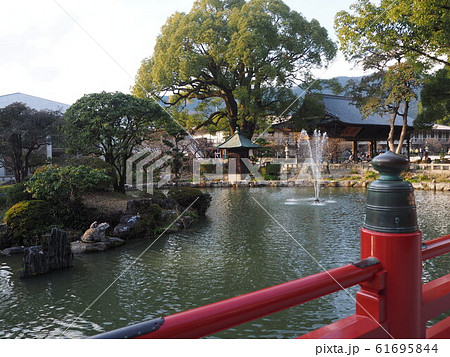 太宰府天満宮 61695844