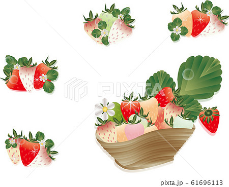 いちごとイチゴの花や葉を器に飾ったイラストのカラフル苺セットイラストのイラスト素材