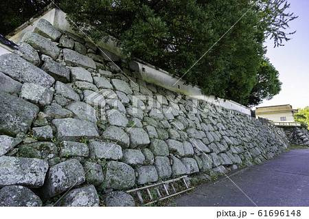 中津城　石垣　大分県中津市 61696148