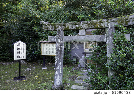 中津城　中津大神宮　扇城神社　大分県中津市 61696458