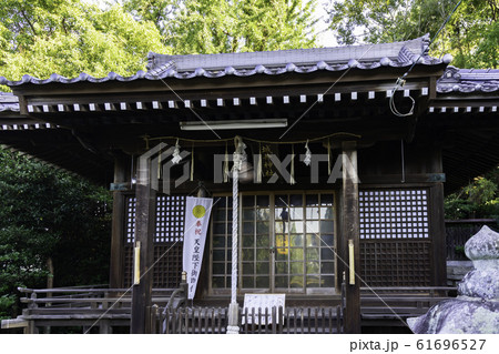 中津城　中津大神宮　城井神社　大分県中津市 61696527