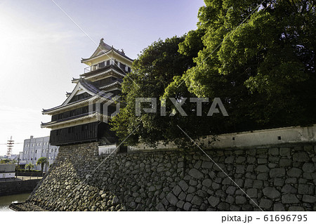 中津城 天守閣 大分県中津市 中津城 天守閣 大分県中津市 61696795