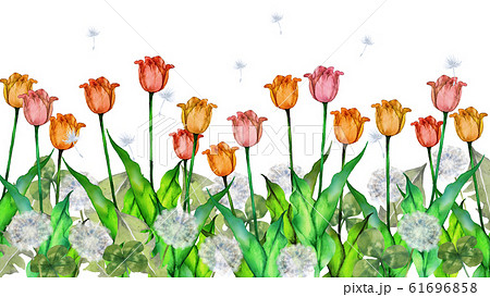 チューリップ クローバー タンポポのイラスト素材