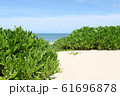 沖縄の美しい海岸 61696878