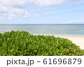 沖縄の美しい海岸 61696879