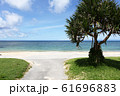沖縄の美しい海岸 61696883
