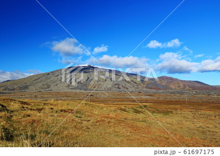 アイスランド 鶏冠 とさか 61697175