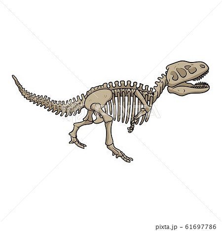 Dinosaur fossil skeleton, cartoon style. Flat... - Stock Illustration  [61697786] - PIXTA