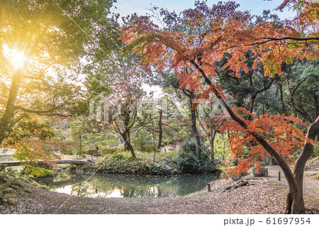 秋に駒込の六義園の芦部茶屋跡の前に通る蛛道から撮影した大泉水を渡る渡月橋。 秋に駒込の六義園の芦部茶屋跡の前に通る蛛道から撮影した大泉水を渡る渡月橋。 61697954