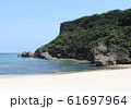 沖縄の青い海 61697964