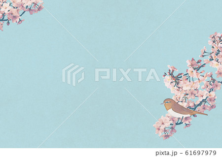 桜　背景イラスト　水彩　鶯 61697979