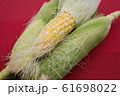 新鮮なトウモロコシ 61698022