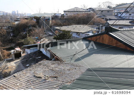 木 路地 メイン 61698094