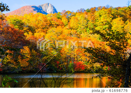 鎌池の紅葉 鎌池の紅葉 61698776