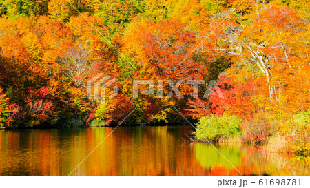 鎌池の紅葉 61698781