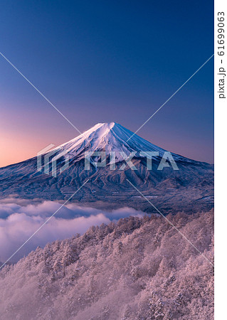《山梨県》大雲海に浮かぶ富士山・雪景色 61699063