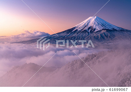 《山梨県》大雲海に浮かぶ富士山・雪景色 61699067