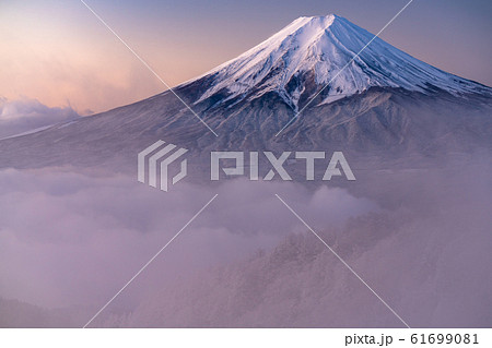 《山梨県》大雲海に浮かぶ富士山・雪景色 61699081
