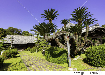 豊前善光寺 布教堂 大分県宇佐市 豊前善光寺 布教堂 大分県宇佐市 61700250