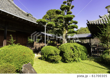 豊前善光寺 回廊 大分県宇佐市 豊前善光寺 回廊 大分県宇佐市 61700305