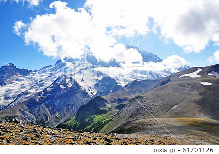 マウントレニエ国立公園　Mount Rainier National Park 61701126