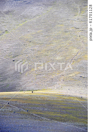 マウントレニエ国立公園　Mount Rainier National Park 61701128