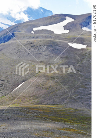 マウントレニエ国立公園 Mount Rainier National Park マウントレニエ国立公園 Mount Rainier National Park 61702190