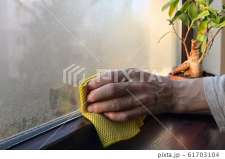 Absorb and Stop Condensation on Windows Absorb and Stop Condensation on Windows 61703104