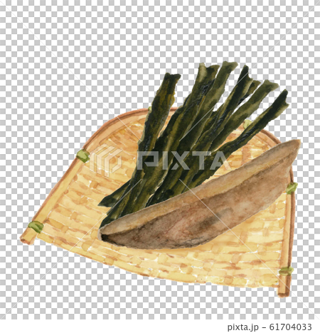 水彩 昆布 かつお節 ざる 水彩 昆布 かつお節 ざる 61704033