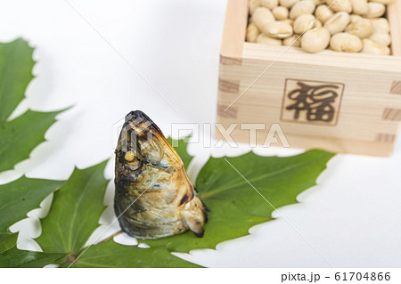 【節分 鰯 豆】 【節分 鰯 豆】 61704866