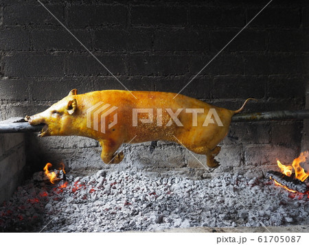 ブタの丸焼き 61705087