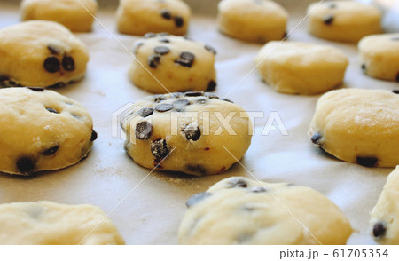 Close up of home made chocolate chip cookies / Close up of home made chocolate chip cookies / 61705354