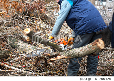 A utility worker is cutting large tree branches. A utility worker is cutting large tree branches. 61706426