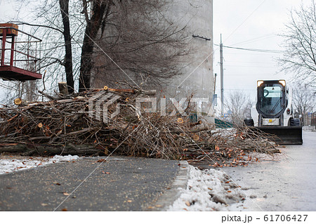 Urban emergency service removes a fallen tree on a Urban emergency service removes a fallen tree on a 61706427