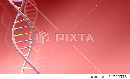 DNA 遺伝子 染色体 二重らせん バイオ 医療 科学 テクノロジー 背景 バックグラウンド DNA 遺伝子 染色体 二重らせん バイオ 医療 科学 テクノロジー 背景 バックグラウンド 61706558