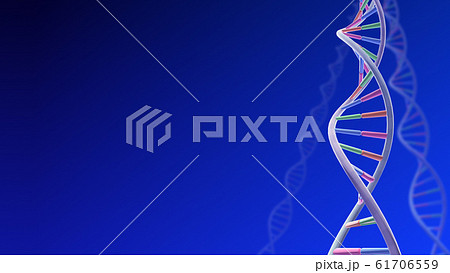 DNA 遺伝子 染色体 二重らせん バイオ 医療 科学 テクノロジー 背景 バックグラウンド DNA 遺伝子 染色体 二重らせん バイオ 医療 科学 テクノロジー 背景 バックグラウンド 61706559