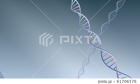 DNA 遺伝子 染色体 二重らせん バイオ 医療 科学 テクノロジー 背景 バックグラウンド DNA 遺伝子 染色体 二重らせん バイオ 医療 科学 テクノロジー 背景 バックグラウンド 61706576