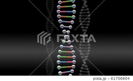 DNA 遺伝子 染色体 二重らせん バイオ 医療 科学 テクノロジー 背景 バックグラウンド DNA 遺伝子 染色体 二重らせん バイオ 医療 科学 テクノロジー 背景 バックグラウンド 61706604