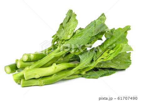 kale vegetable isolated on white background kale vegetable isolated on white background 61707490