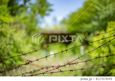 Rusty barbed wire on the blurry background 61707640