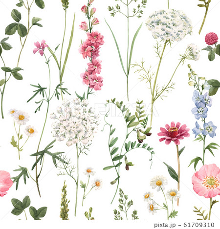 Beautiful vector floral summer seamless pattern with watercolor hand drawn field wild flowers. Stock illustration. Beautiful vector floral summer seamless pattern with watercolor hand drawn field wild flowers. Stock illustration. 61709310