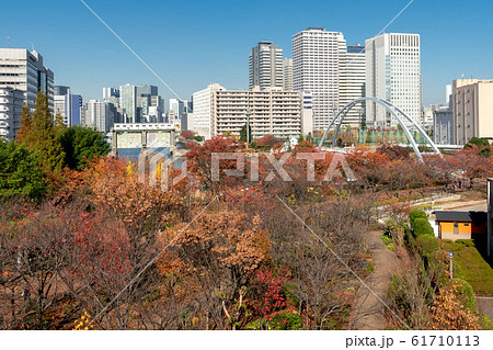 天王洲公園と東品川海上公園 61710113