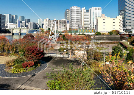 東京都品川区東品川の天王洲公園と東品川海上公園 61710115