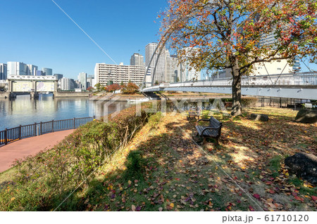 天王洲公園と東品川海上公園 61710120