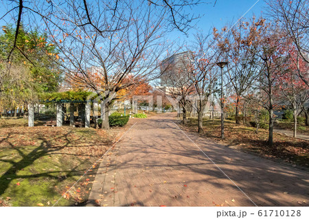 天王洲公園と東品川海上公園 61710128